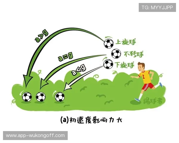 从纯破坏到简单出球：帕利尼亚的数据进化