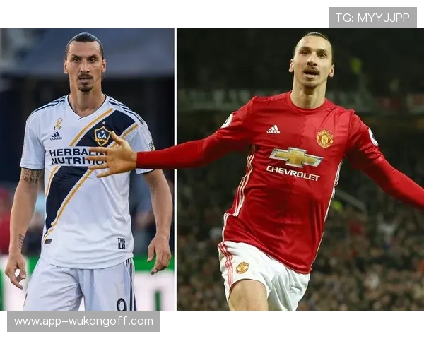 伊布退役后每天五点起床练腿,这自律谁顶得住 伊布退役后每天五点起床练腿,这自律谁顶得住