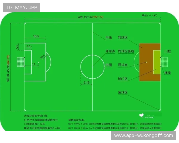 球门球规则详解：何时算有效发出？