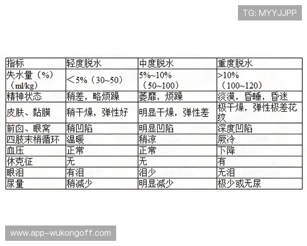 补篮规则解析：得分有效性与违例情况判断指南